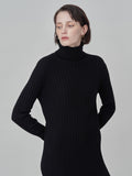 Rib Turtleneck Maxi Dress_Black