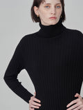 Rib Turtleneck Maxi Dress_Black
