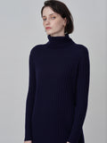 Rib Turtleneck Maxi Dress_Navy