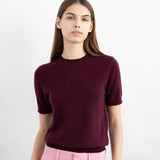 Cashmere Short Sleeve Crew Neck Sweater