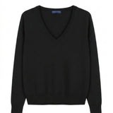 Classic V-Neck Sweater_11 Colors
