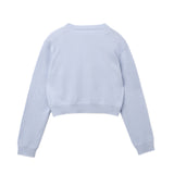 Crop Long Sleeve Sweater_Baby Blue
