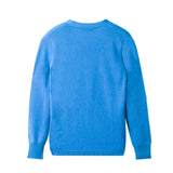 Deep V Neck Sweater_Cobalt Blue